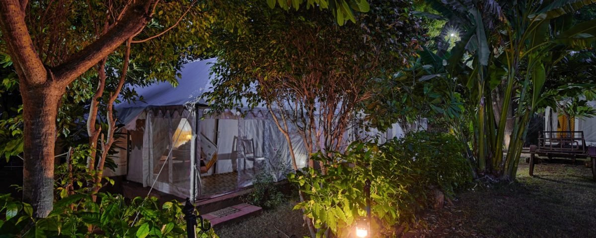 Best Resorts in Ranthambore