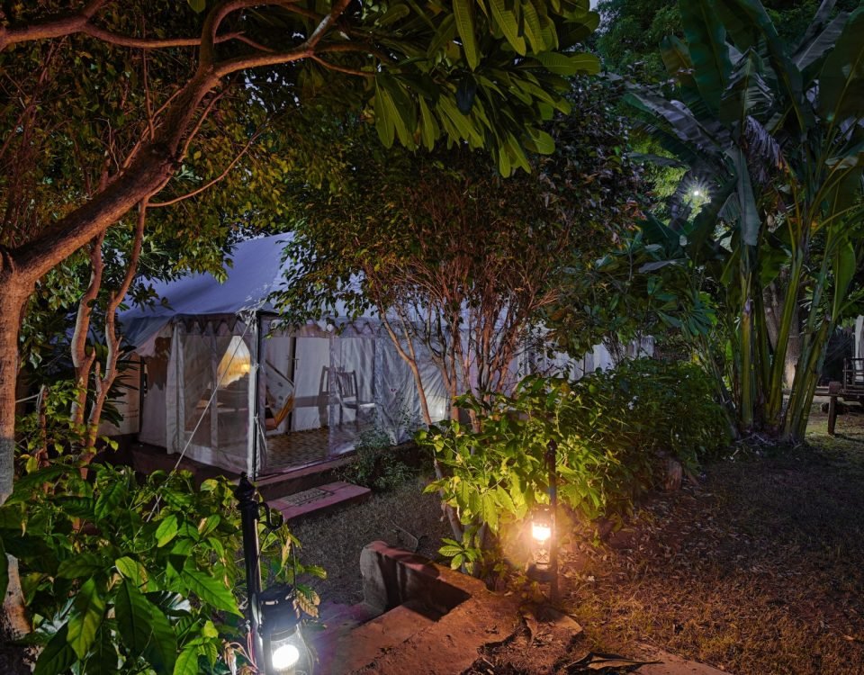 Best Resorts in Ranthambore