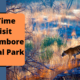 Best Time to Visit Ranthambore