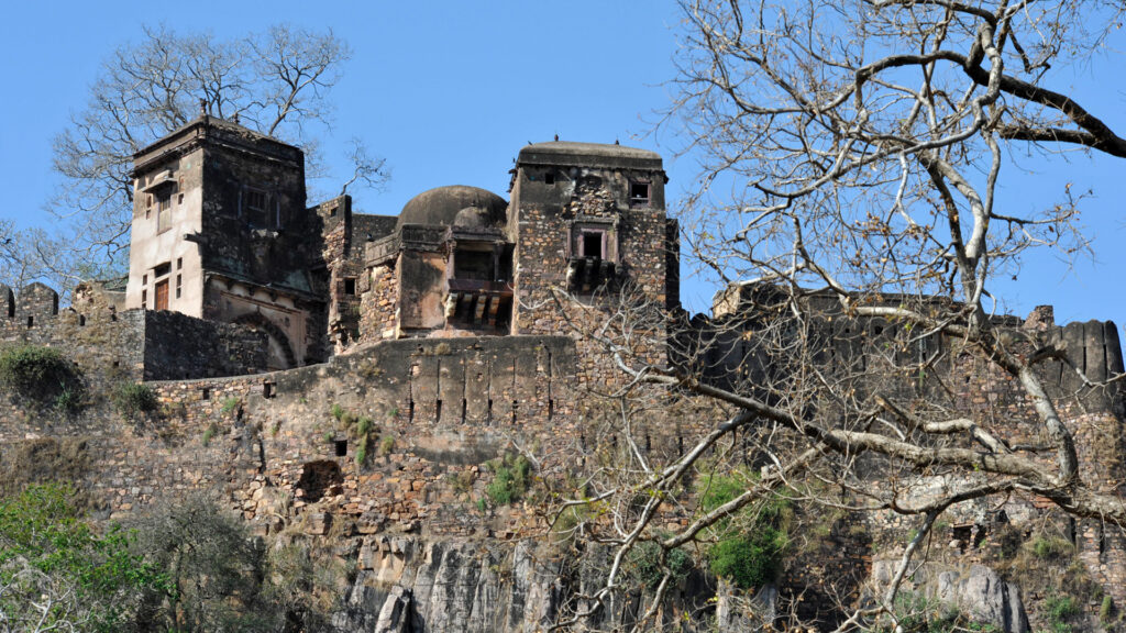 Ranthambore Fort