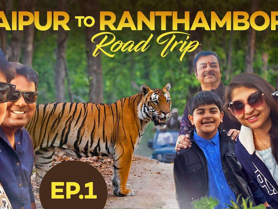 Jaipur to Ranthambore trip