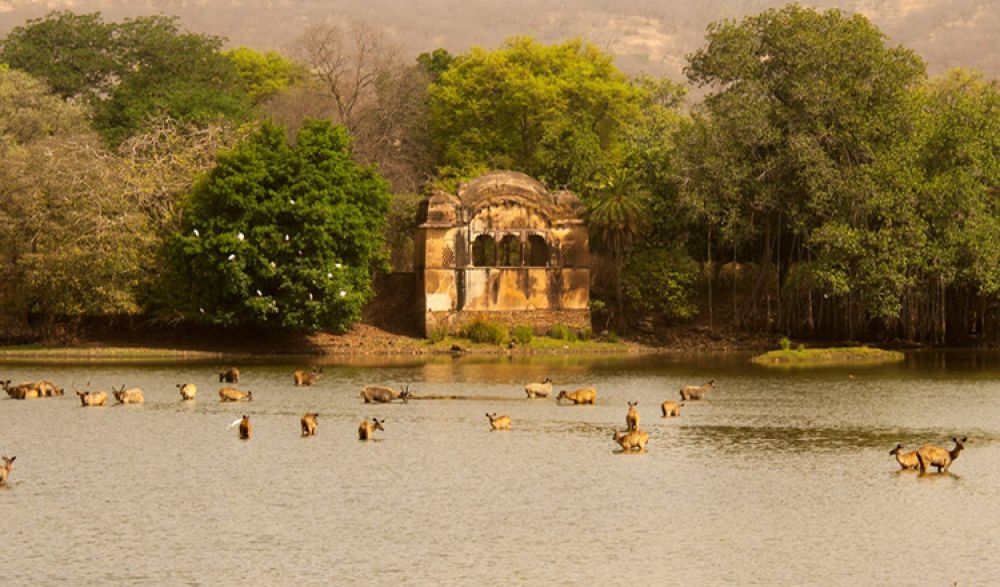 Places to Visit in Ranthambore
