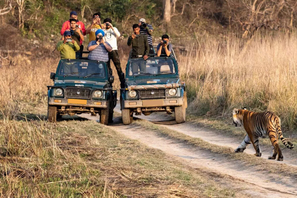 Places to Visit in Ranthambore