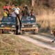 Ranthambore tiger safari