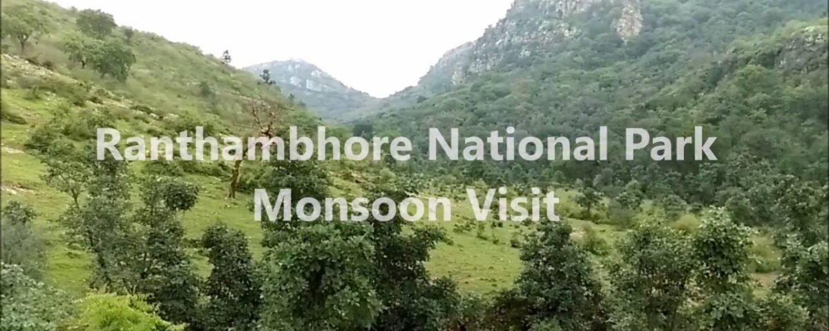 Ranthambore in monsoon