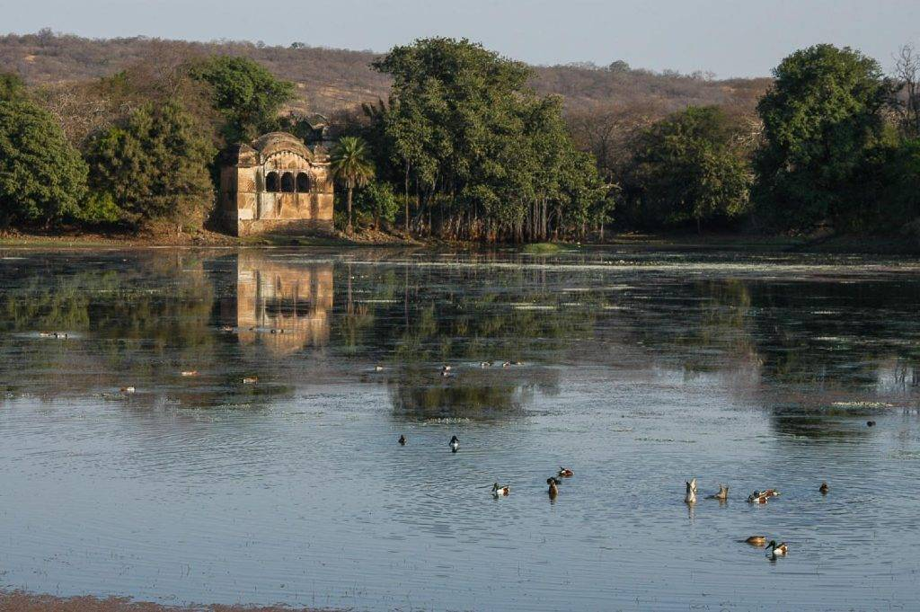 Things to Do in Sawai Madhopur