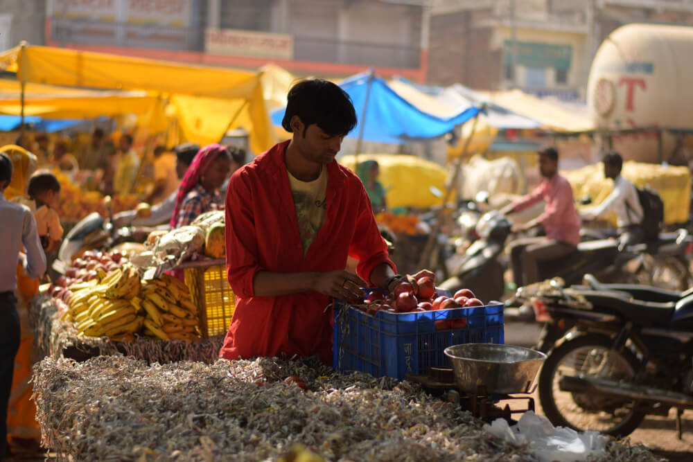 2-Day Sawai Madhopur Itinerary