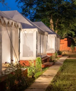 Best resort in Ranthambore