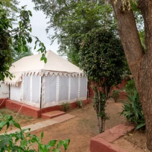 Best resort in Ranthambore