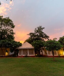 Best resort in Ranthambore