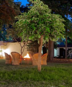 Best resort in Ranthambore