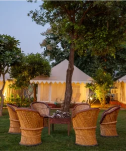 Best resort in Ranthambore